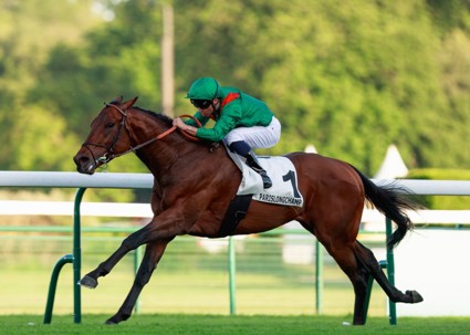 Daryz dominates in the Prix Aga Khan IV
