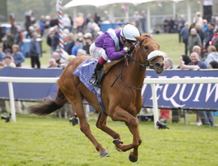 See The Fire s'impose avec éclat à Knavesmire