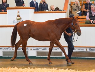 Sea The Stars secures record price
