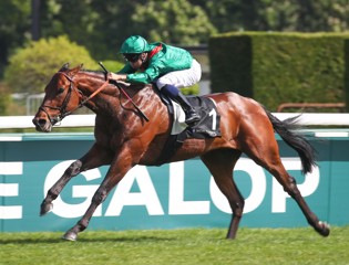 Daryz dazzles on seasonal return