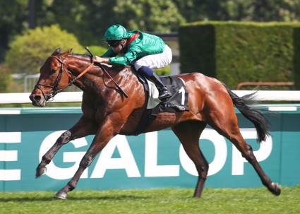 Daryz éblouit pour sa rentrée