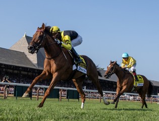 Super Stakes weekend for Zarak
