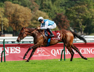 Sea The Stars brille lors d’un week-end exceptionnel