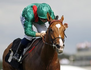 Une cinquième  victoire dans les King George pour les Aga Khan Studs
