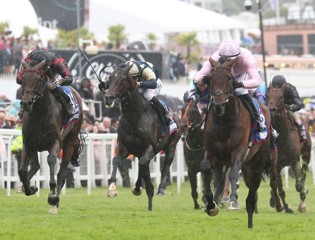 Sea The Stars exerts influence on Derby and Aga Khan lines on top in US
