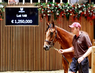 Des millionnaires à Arqana pour Siyouni et Zarak