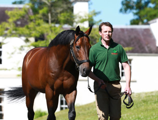 Spirited Style monte en gamme au niveau Stakes